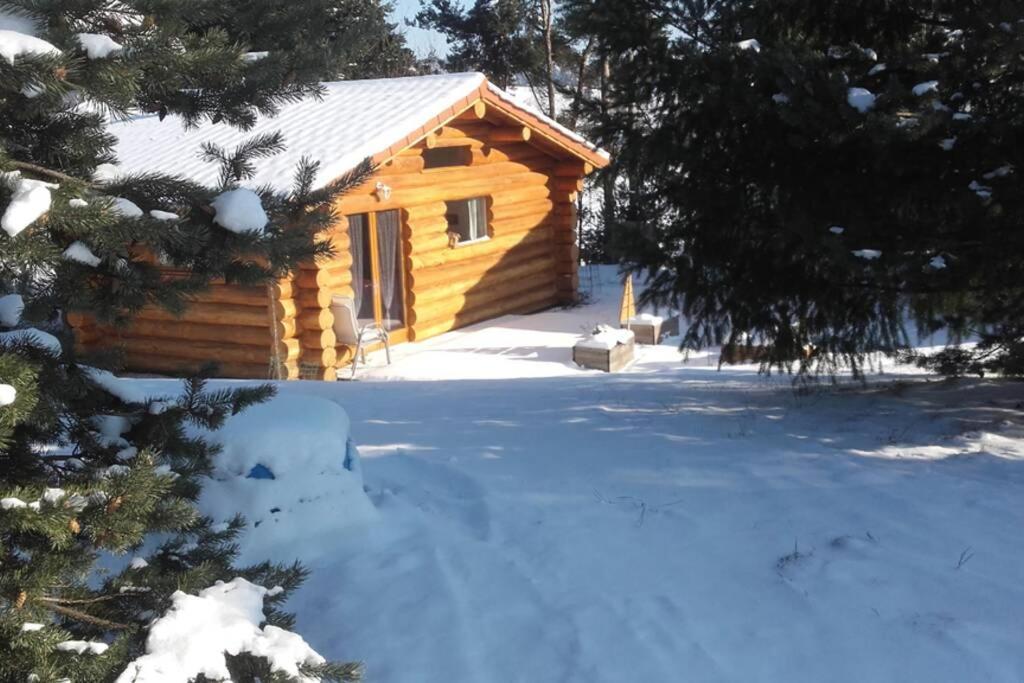 Pialous:Chalet En Rondins Avec Espace Detente La Chapelle-d'Aurec Dış mekan fotoğraf