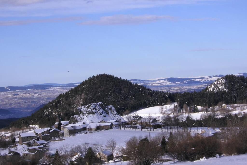 Pialous:Chalet En Rondins Avec Espace Detente La Chapelle-d'Aurec Dış mekan fotoğraf