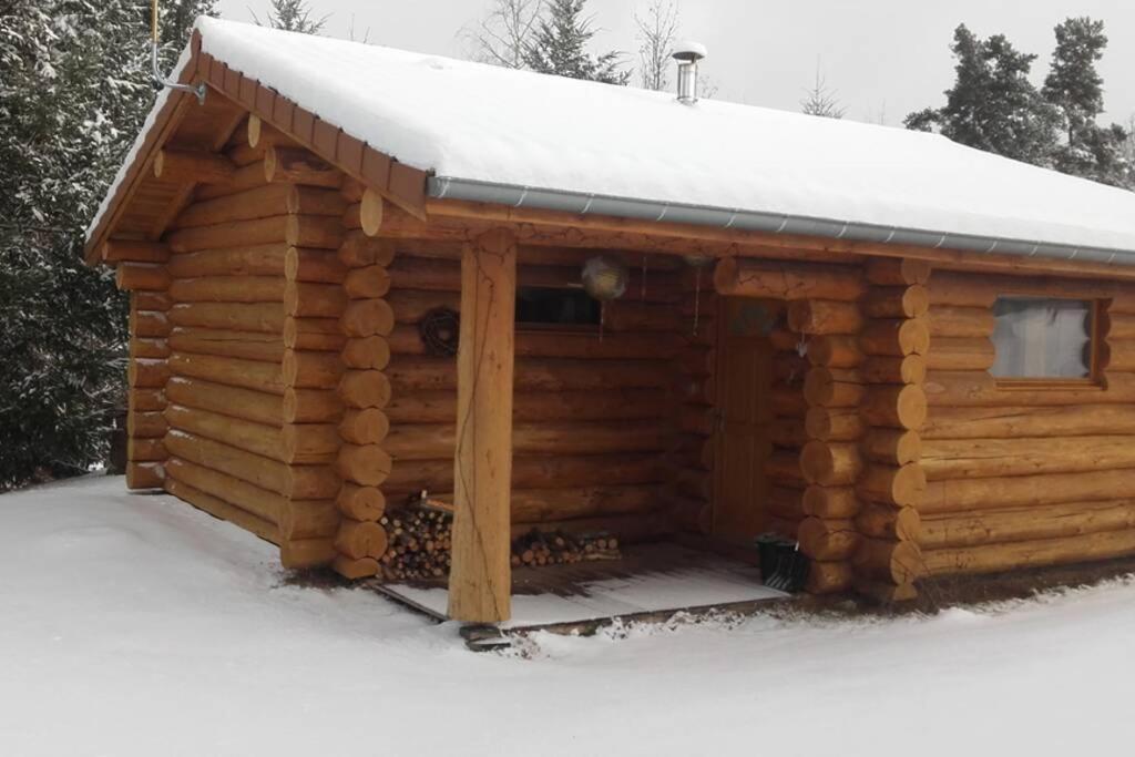 Pialous:Chalet En Rondins Avec Espace Detente La Chapelle-d'Aurec Dış mekan fotoğraf